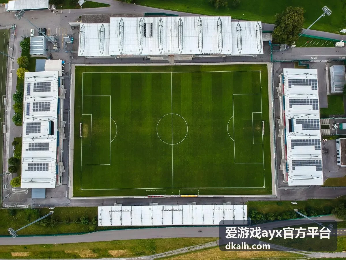 爱游戏ayx官方平台页面加载异常时的排查场景