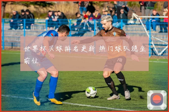 世界杯买球排名更新 热门球队稳坐前位