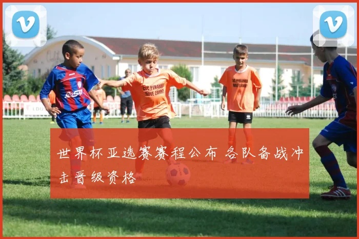 世界杯亚选赛赛程公布 各队备战冲击晋级资格